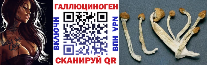 Галлюциногенные грибы MAGIC MUSHROOMS  ОМГ ОМГ маркетплейс  Новохопёрск 